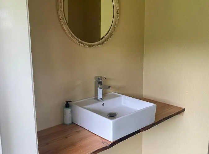 Tiny House, Pipowagen Onder De Kastanje Aalten